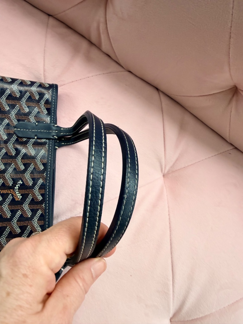 Goyard Mini Anjou Tote Bag - Picture 12 of 14
